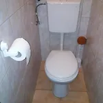 미니거르존 *