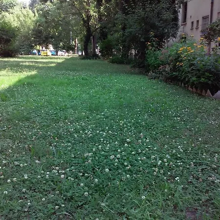 Minigarzon * بودابست